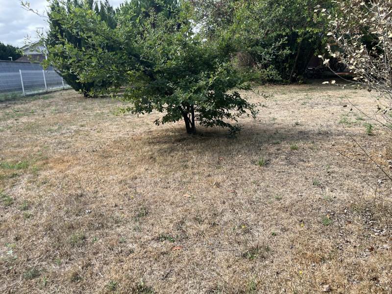 Vente Terrain AUDENGE - -1585 m² - (33980)