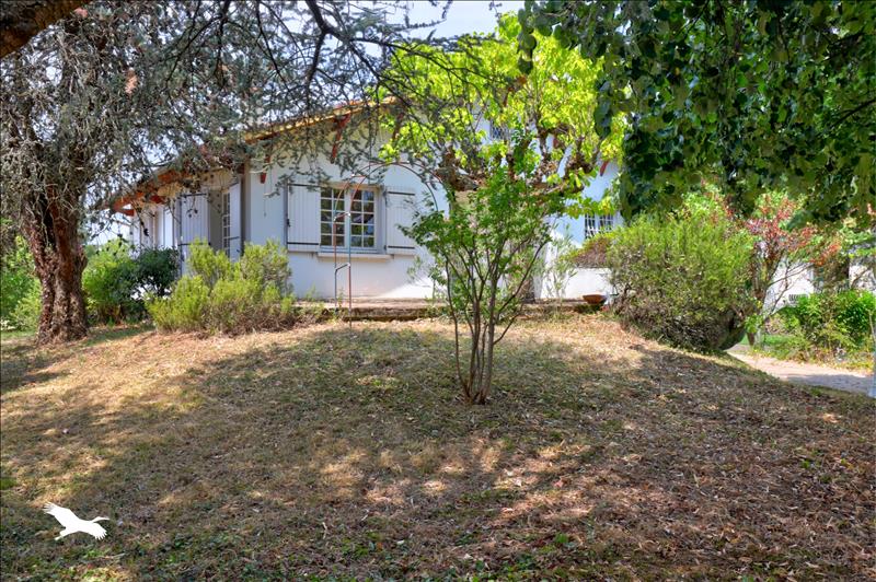 Vente Maison GAILLAC - 6 pièces -170 m² - (81600)