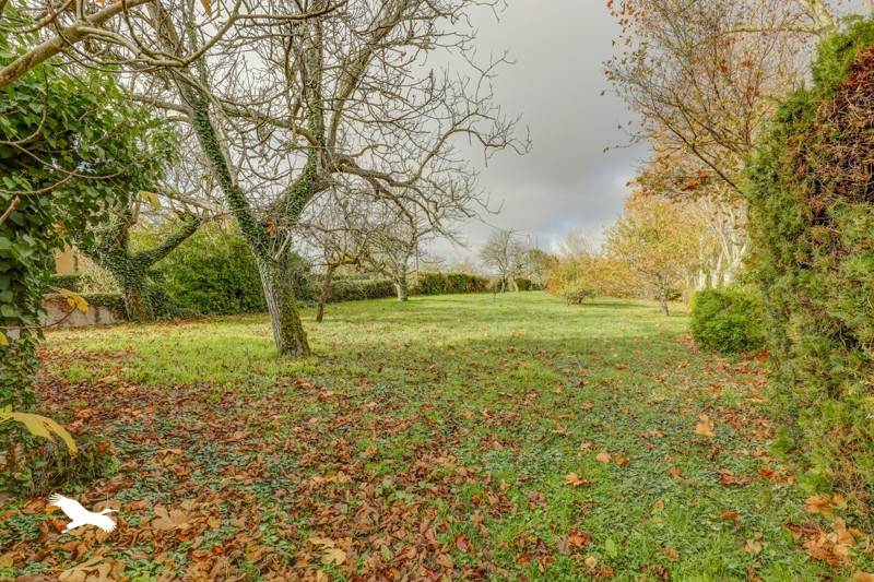 Vente Maison SALVAGNAC - 9 pièces -352 m² - (81630)