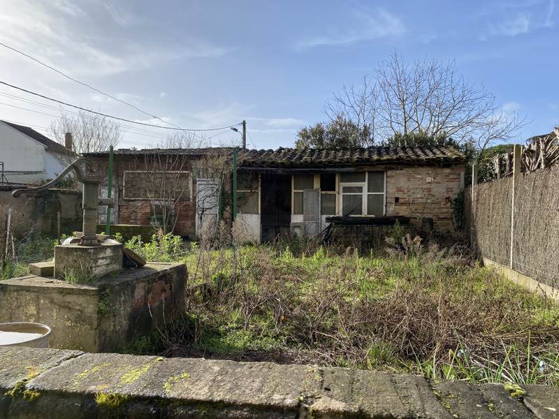Vente Immeuble GAILLAC - -  275 m² - (81600)