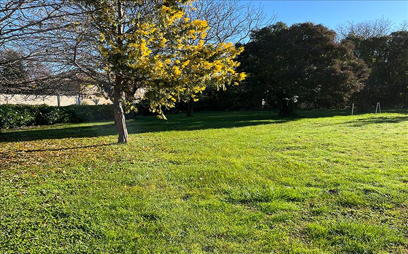 Vente Terrain CAMPSAS - -810 m² - (82370)