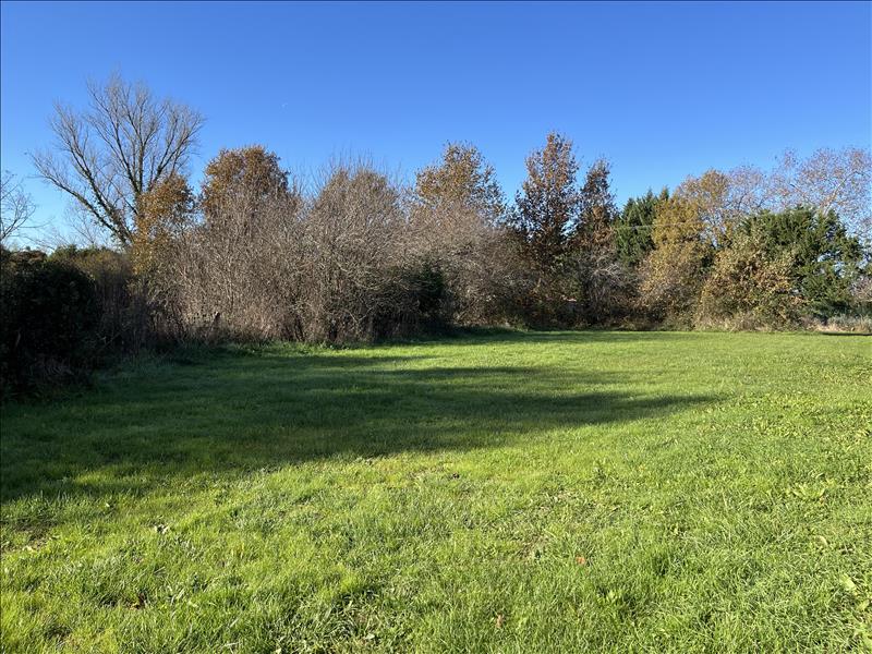 Vente Terrain CAMPSAS - -1300 m² - (82370)