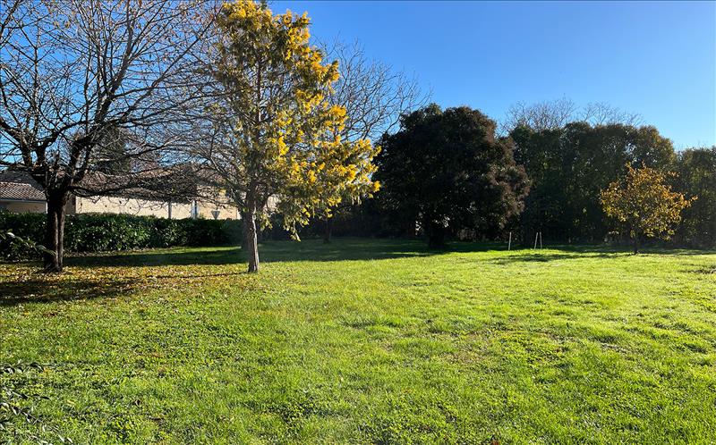 Vente Terrain CAMPSAS - -1300 m² - (82370)