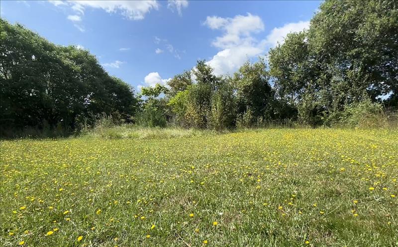 Vente Terrain ST NAUPHARY - -661 m² - (82370)