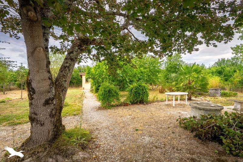Vente Maison Campsas - 3 pièces -71 m² - (82370)