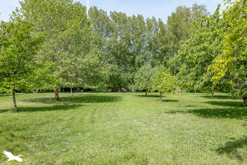 Vente Maison MATHA - 4 pièces -212 m² - (17160)