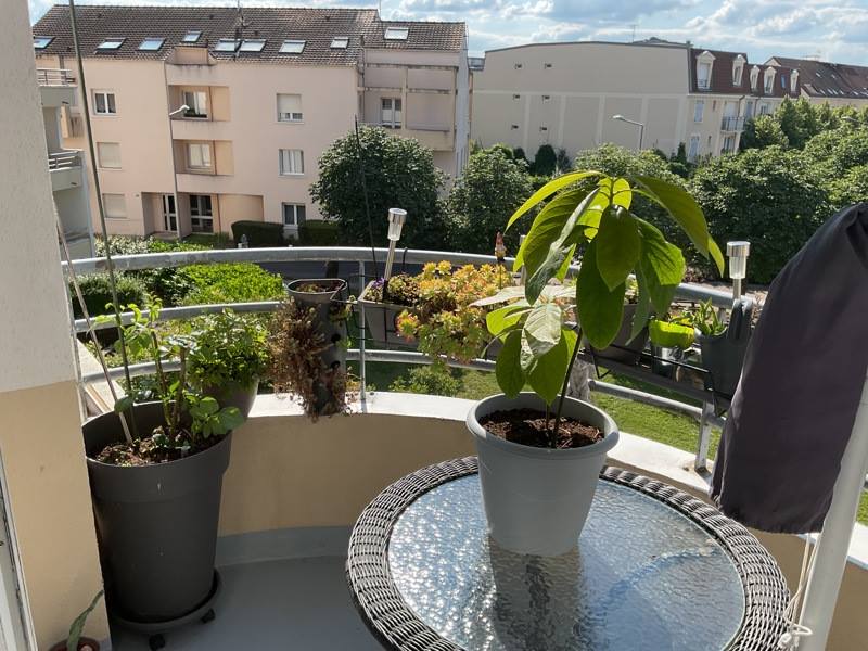 Vente Appartement ST OUEN L AUMONE - 3 pièces -66 m² - (95310)