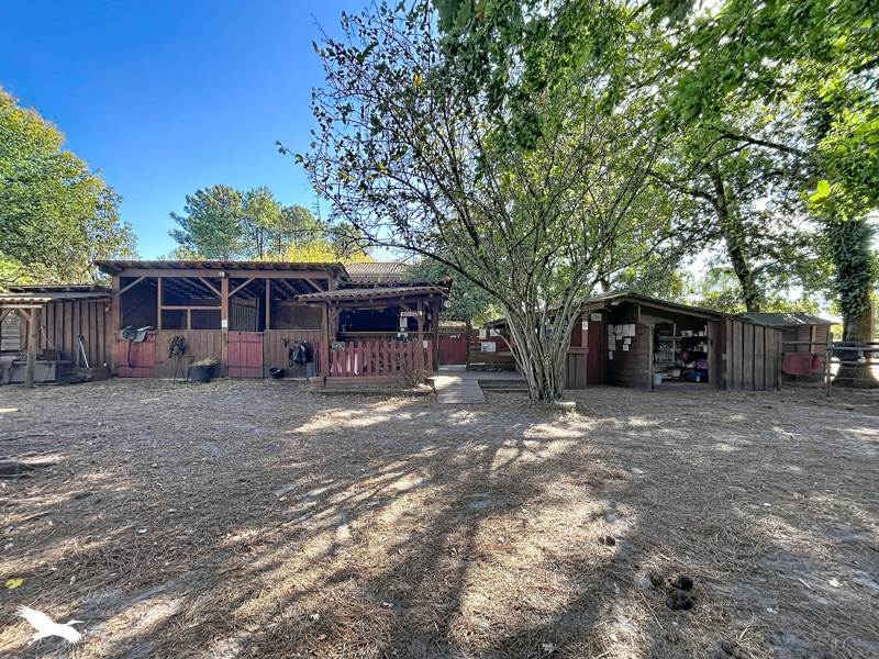 Vente Maison Sanguinet - 6 pièces -148 m² - (40460)