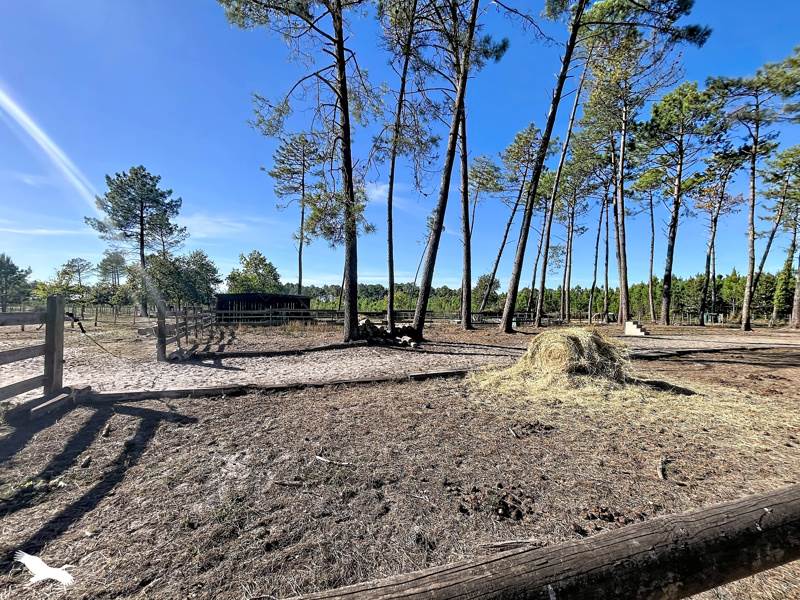 Vente Maison Sanguinet - 6 pièces -148 m² - (40460)