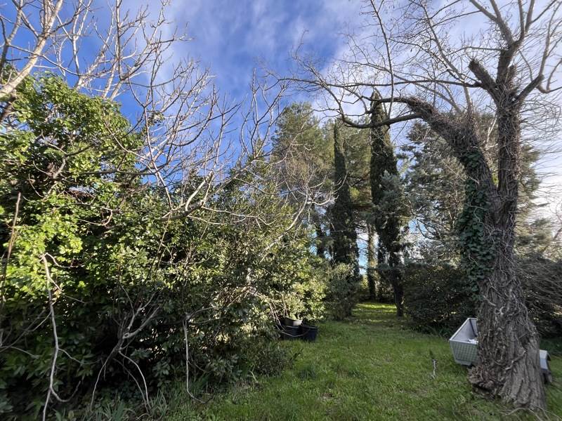 Vente Terrain MONTBAZIN - -718 m² - (34560)