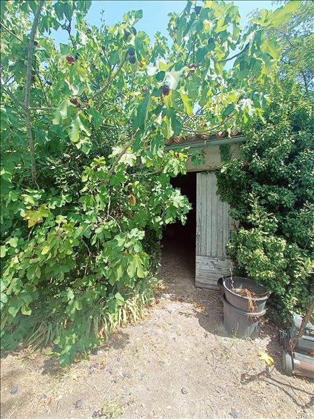 Vente Terrain MONTBAZIN - -718 m² - (34560)