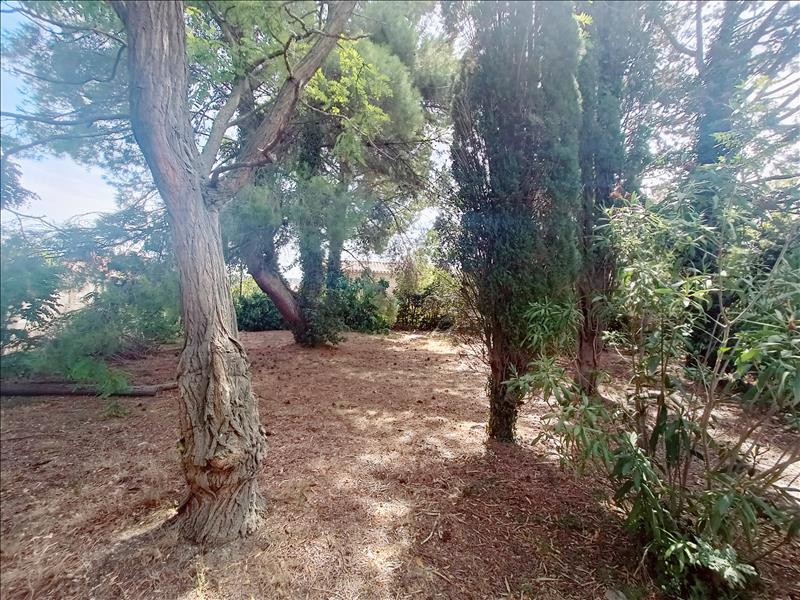 Vente Terrain MONTBAZIN - -718 m² - (34560)