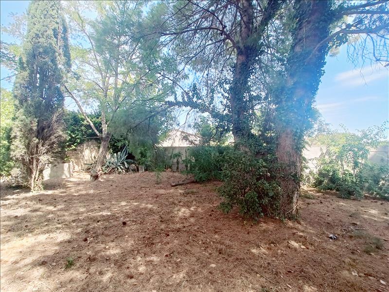 Vente Terrain MONTBAZIN - -718 m² - (34560)