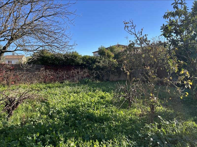 Vente Terrain MONTBAZIN - -503 m² - (34560)