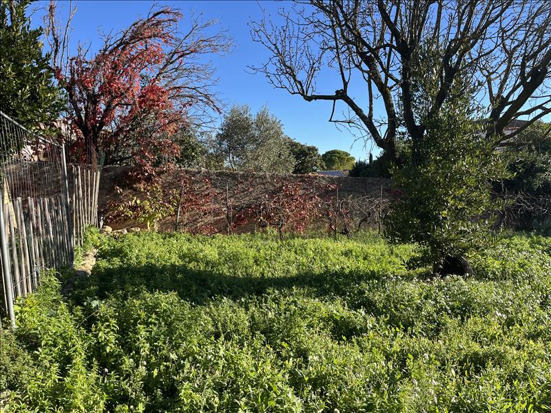Vente Terrain MONTBAZIN - -503 m² - (34560)