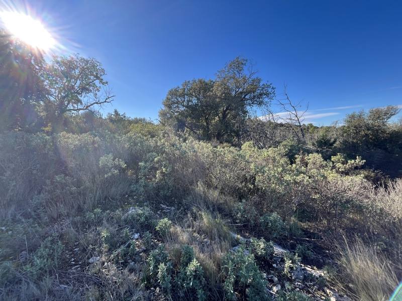 Vente Terrain GIGEAN - -6560 m² - (34770)