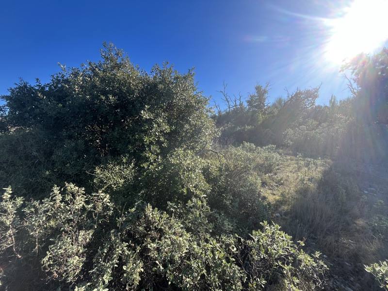 Vente Terrain GIGEAN - -6560 m² - (34770)