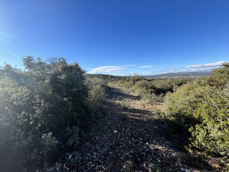 Vente Terrain GIGEAN - -6560 m² - (34770)