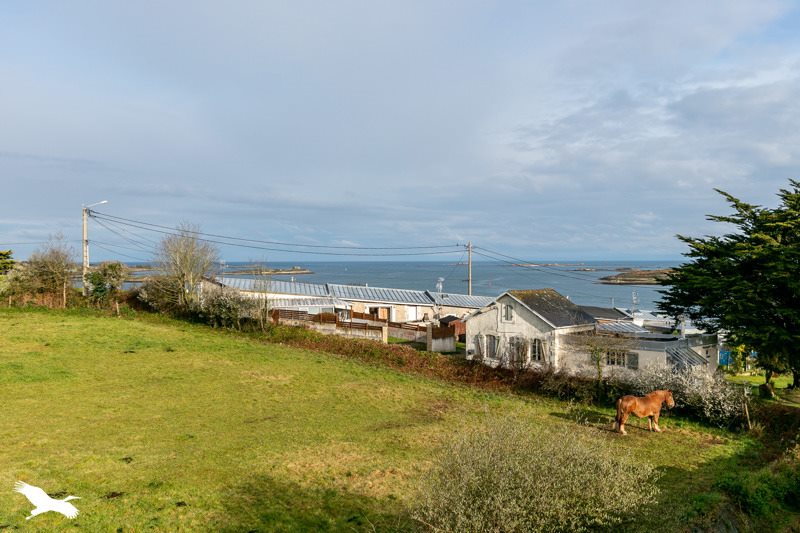 Vente Appartement Landéda - 4 pièces -75,2 m² - (29870)