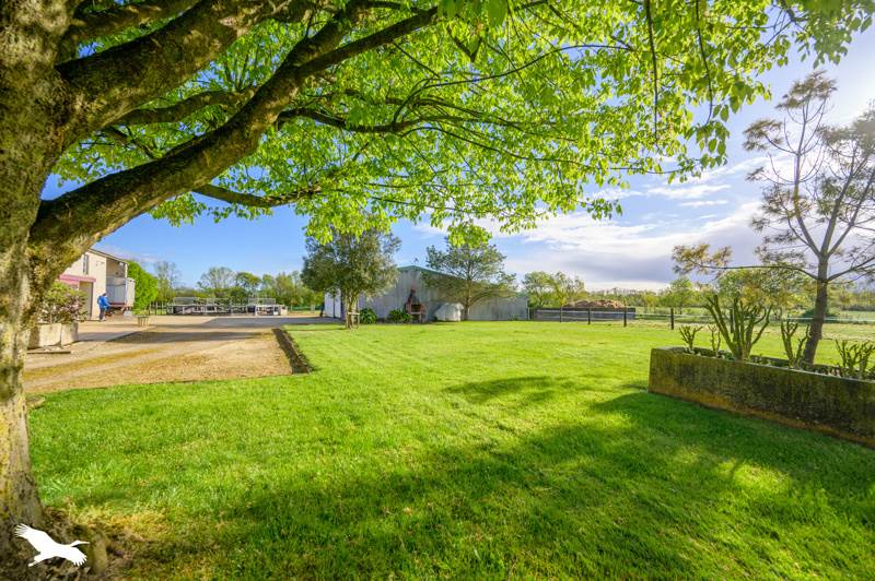 Vente Maison ANDILLY - 9 pièces -336 m² - (17230)