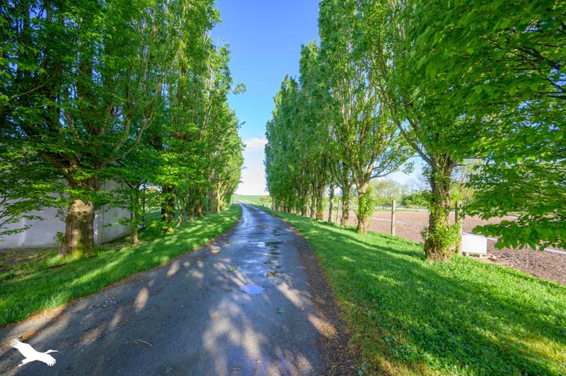 Vente Maison ANDILLY - 9 pièces -336 m² - (17230)
