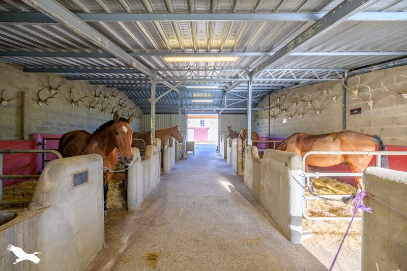 Vente Maison ANDILLY - 9 pièces -336 m² - (17230)