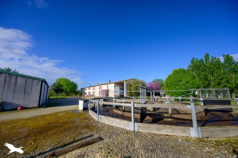 Vente Maison ANDILLY - 9 pièces -336 m² - (17230)