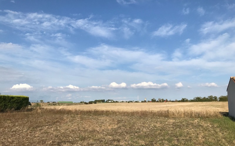 Vente Terrain ANDILLY - -706 m² - (17230)