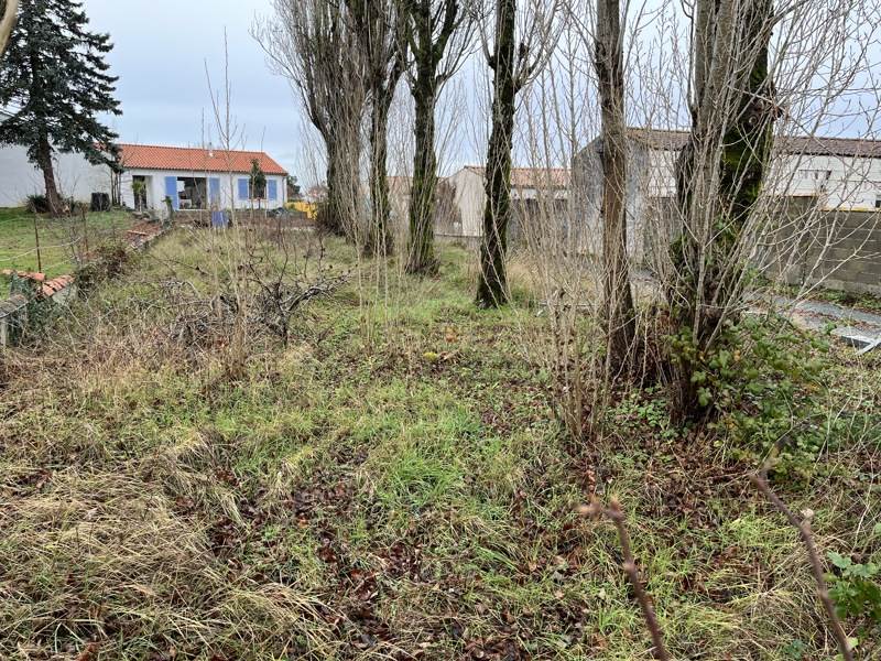 Vente Terrain DOMPIERRE SUR MER - -400 m² - (17139)