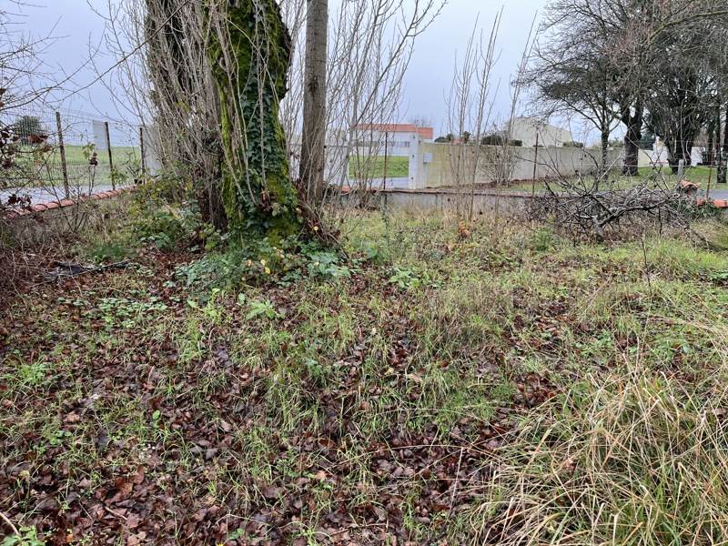 Vente Terrain DOMPIERRE SUR MER - -400 m² - (17139)