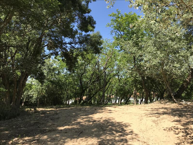 Vente Terrain LA BREE LES BAINS - -1113 m² - (17840)