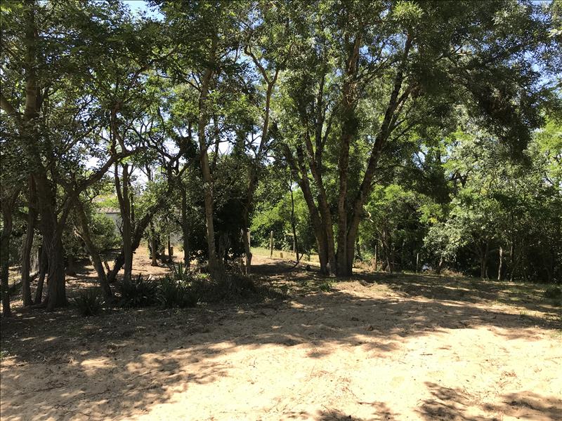 Vente Terrain LA BREE LES BAINS - -1113 m² - (17840)