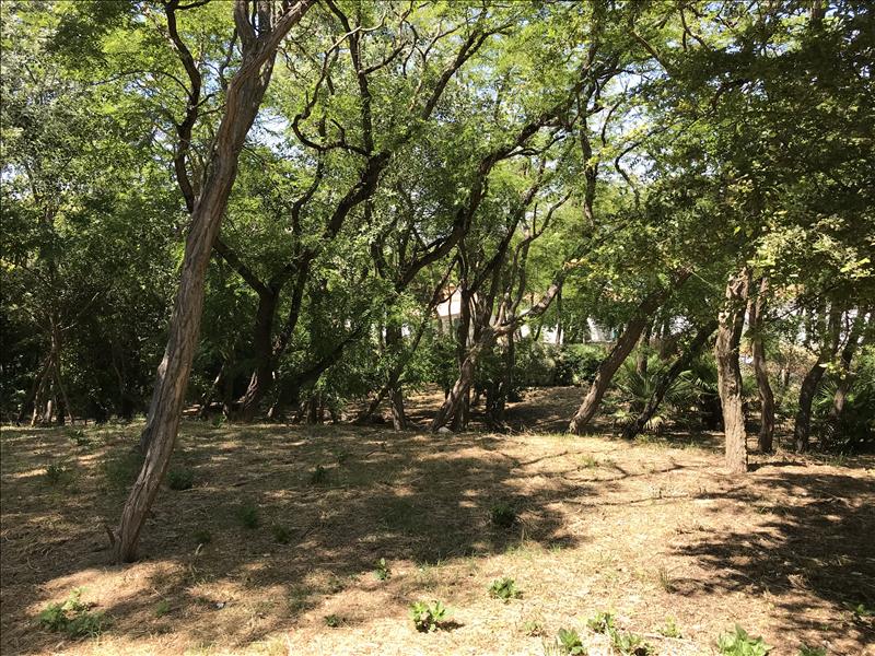 Vente Terrain LA BREE LES BAINS - -1113 m² - (17840)