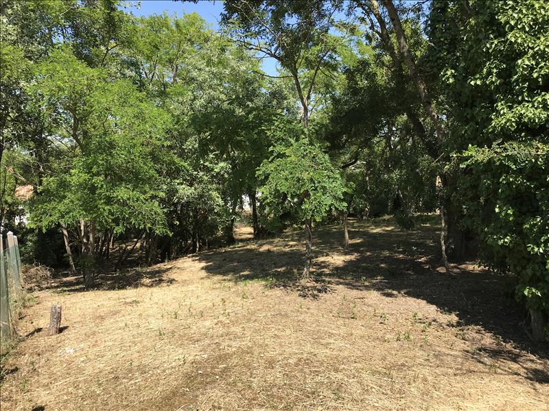 Vente Terrain LA BREE LES BAINS - -1113 m² - (17840)