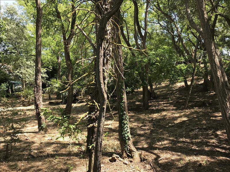 Vente Terrain LA BREE LES BAINS - -1113 m² - (17840)