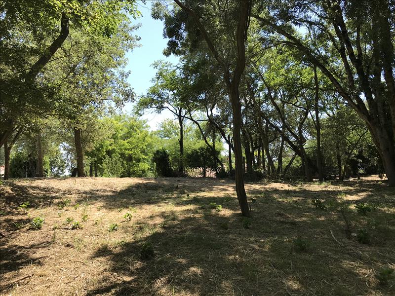 Vente Terrain LA BREE LES BAINS - -1113 m² - (17840)