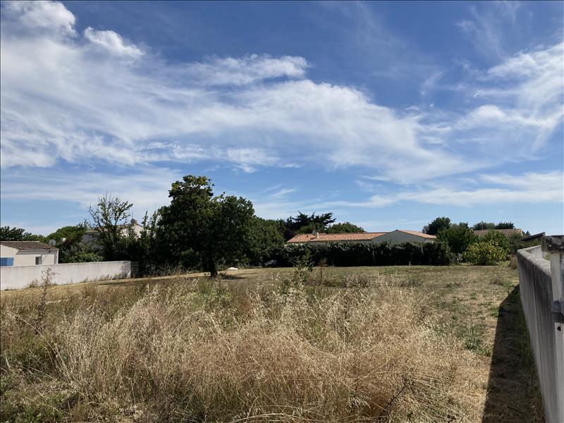 Vente Terrain ST DENIS D OLERON - -1265 m² - (17650)