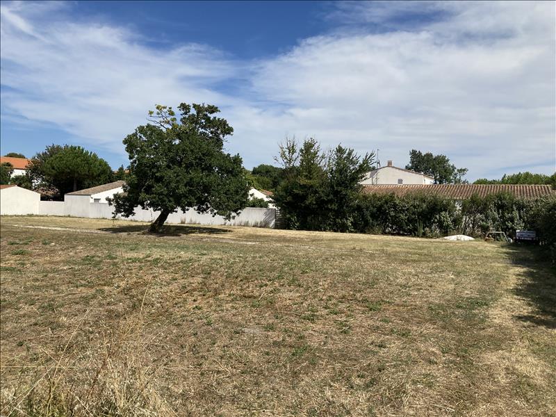 Vente Terrain ST DENIS D OLERON - -1265 m² - (17650)