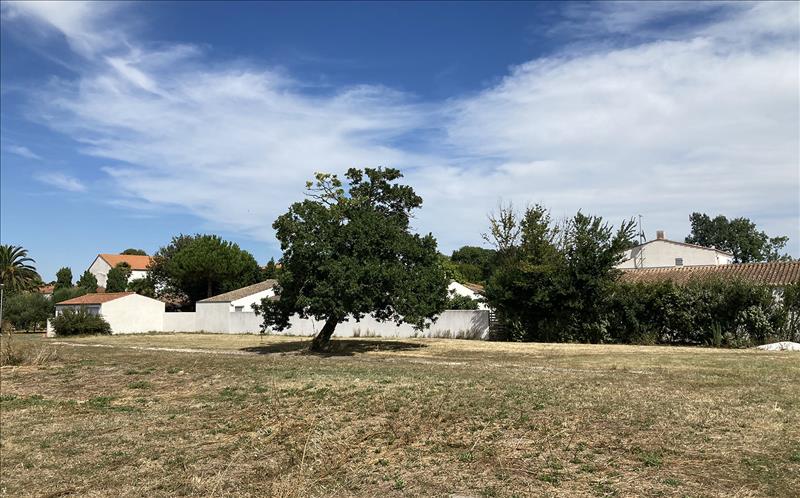 Vente Terrain ST DENIS D OLERON - -1265 m² - (17650)
