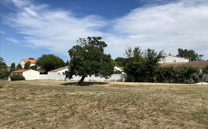 Vente Terrain ST DENIS D OLERON - -629 m² - (17650)