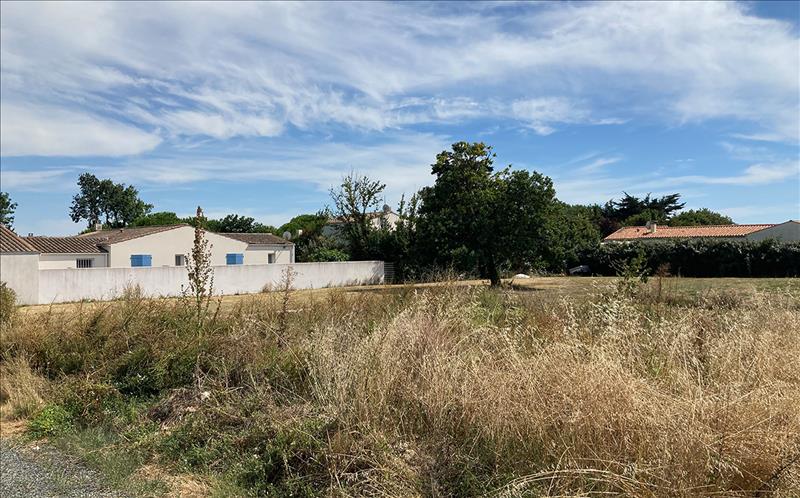Vente Terrain ST DENIS D OLERON - -636 m² - (17650)