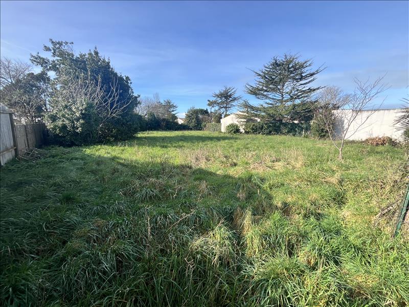 Vente Terrain LA BREE LES BAINS - -971 m² - (17840)