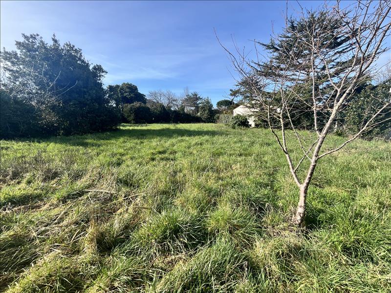 Vente Terrain LA BREE LES BAINS - -971 m² - (17840)