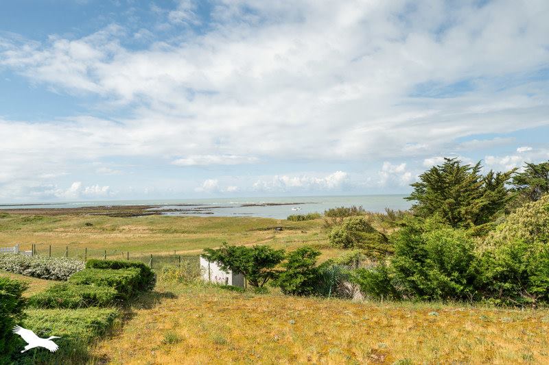 Vente Maison ST GEORGES D OLERON - 6 pièces -168 m² - (17190)