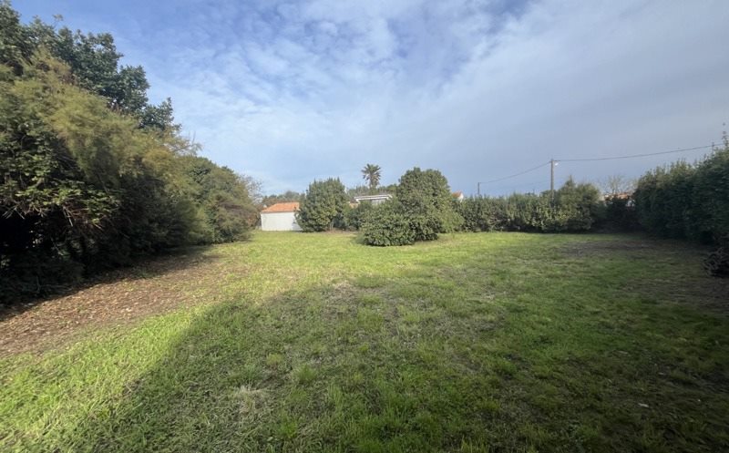 Vente Terrain ST DENIS D OLERON - -982 m² - (17650)