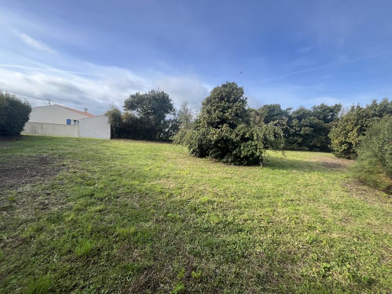 Vente Terrain ST DENIS D OLERON - -982 m² - (17650)