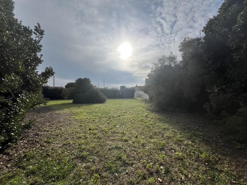 Vente Terrain ST DENIS D OLERON - -982 m² - (17650)