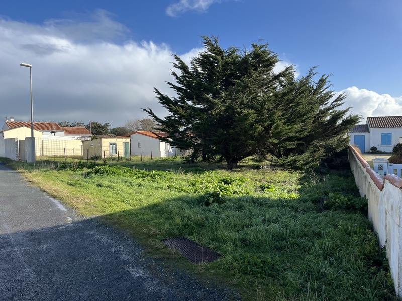 Vente Terrain ST DENIS D OLERON - -567 m² - (17650)