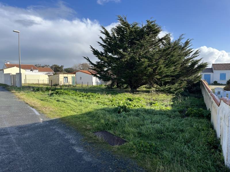 Vente Terrain ST DENIS D OLERON - -681 m² - (17650)