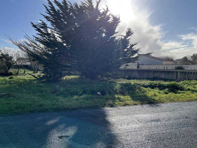 Vente Terrain ST DENIS D OLERON - -681 m² - (17650)